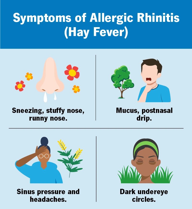 types and cure of Allergic Rhinitis